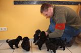 EDUCATION CHIOT 117